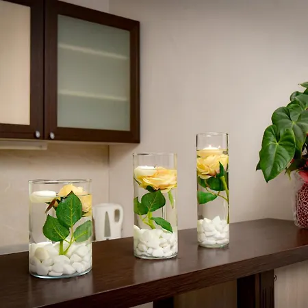 酒店 Rhodopi 切佩拉雷